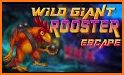 Wild Giant Rooster Escape related image