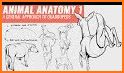 Animal Pose Collection for illustration related image