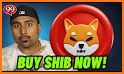 Flappy Shib related image