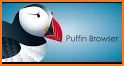 Puffin Browser Pro related image
