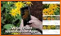 Plant identifier: plant finder related image