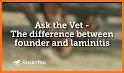 Laminitis related image