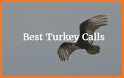 Turkey Calls 2019 related image