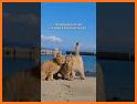 Cats island related image
