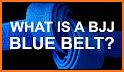 BJJ Blue Belt Requirements 2.0 related image