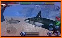 Orca Simulator: Killer Whale Simulator Game related image