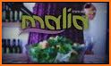 Malia Organics related image