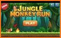 Jungle Monkey Run - World Adventure related image
