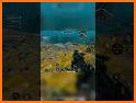 Force Battle! related image