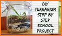 Project Terrarium related image