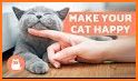 How to Take Care of a Cat related image