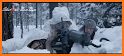 Winter War related image
