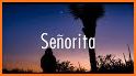 Senorita - Shawn Mendes, Camila Cabello Beat Neon related image