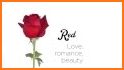Roses with Beautiful Phrases related image