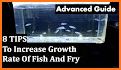 guide for grow fish and feed fish 2019 related image