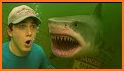 Fish & Catch related image