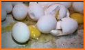 Tiny Hens : Egg Factory - Chicken inc related image