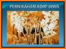 Traditional Javanese Wedding related image