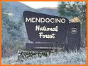 Mendocino National Forest related image