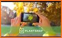 PlantFinder - Flower & Plant Identification related image