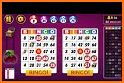 Bingo Offline: Blitz Games related image