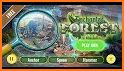 Hidden Objects -  Fantasy World related image