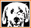 VINYL - Photo Editor related image