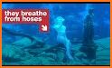 Shiny Underwater Mermaid Theme related image