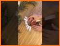 Gift Wrap Run related image