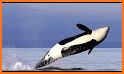 ORCA related image