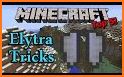Elytra related image