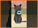 Pet Makeup Master related image
