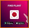FindPlant - Plant Identification related image