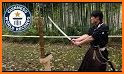 Samurai.io - Sword Master related image
