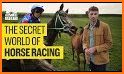 Horse Racing related image