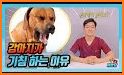 Cote's Clinical Veterinary Advisor: Dogs and Cats related image