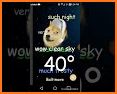 Weather Doge related image
