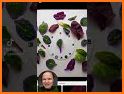 Petiole Pro: Plant Phenotyping related image