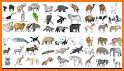 Coloring Animals for Kids related image