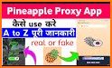 Pineapple Proxy - Easy Connect related image