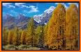 Autumn Leaf Fall Live Wallpaper related image