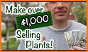 Grow 'N Sell related image