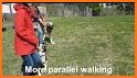 Parallel Dogs related image
