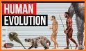 Human Evolution 3D related image