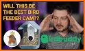 Bird Buddy: Smart Bird Feeder related image