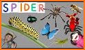 Spider Words related image