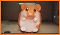 Hamster Life related image