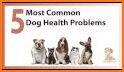 Dog health related image
