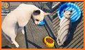 Pet Shelter Sim: Animal Rescue related image