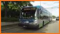 Miami Metro & Bus Tracker related image